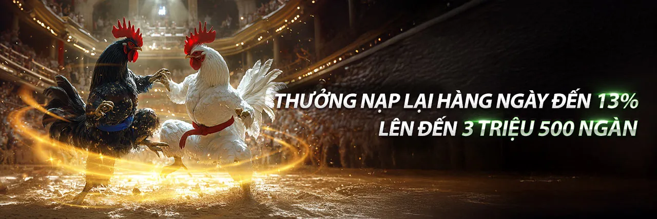 Đá Gà 82vn - Sân Chơi Cá Cược Trực Tuyến Hàng Đầu 2026